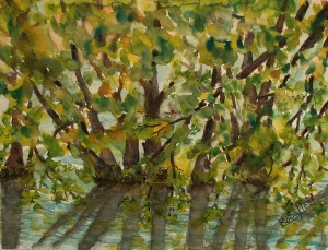 Bäume in der Schwentine , Nr. 2