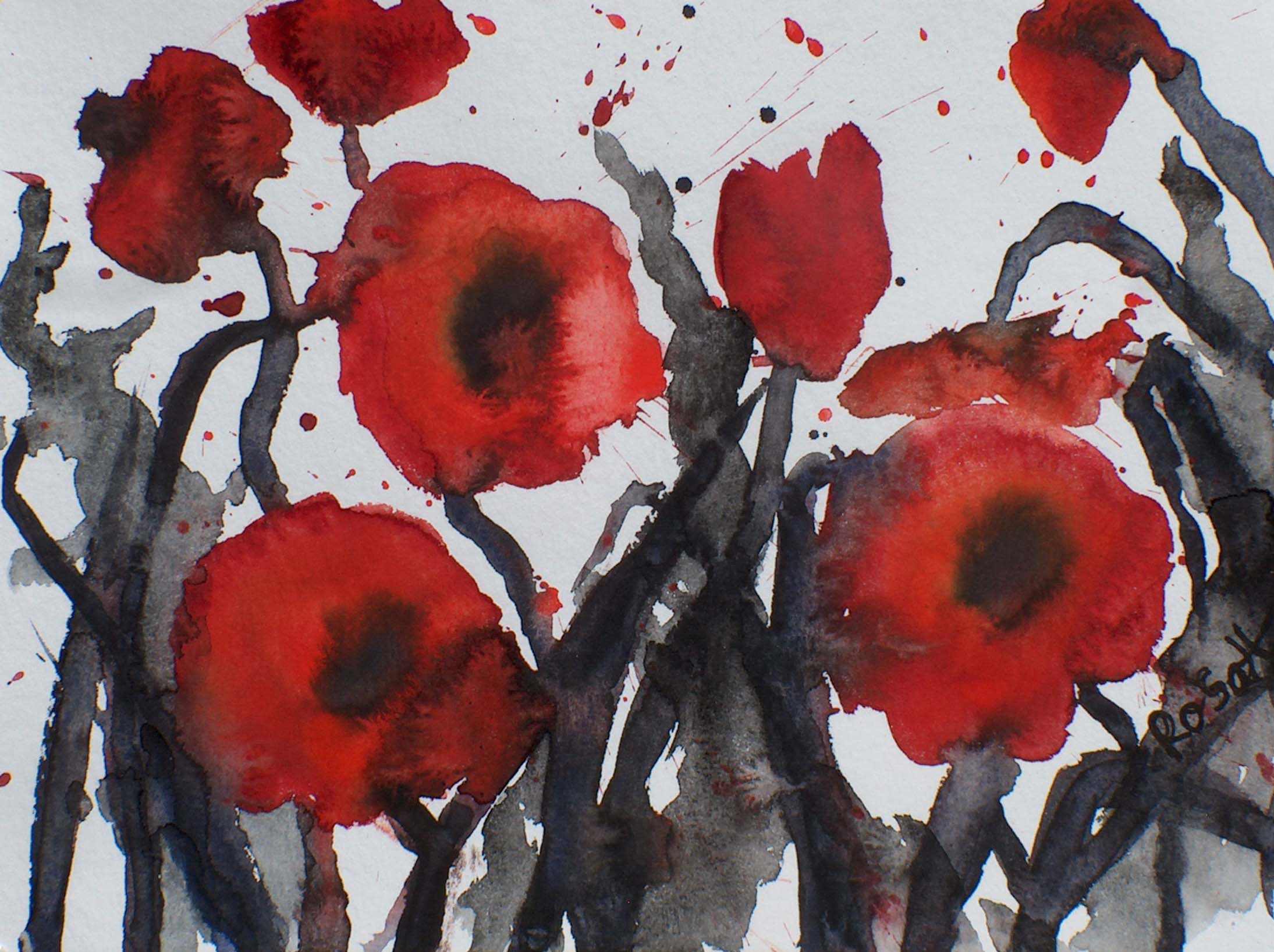 Wilder Mohn