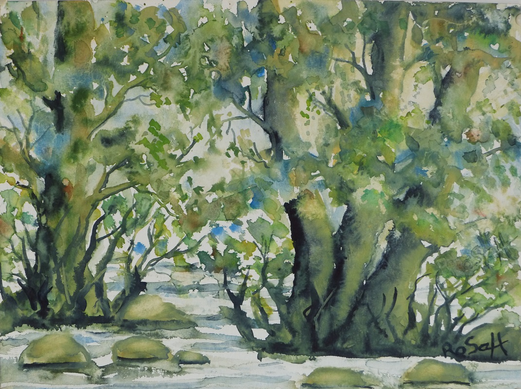 Schwentinebäume 2