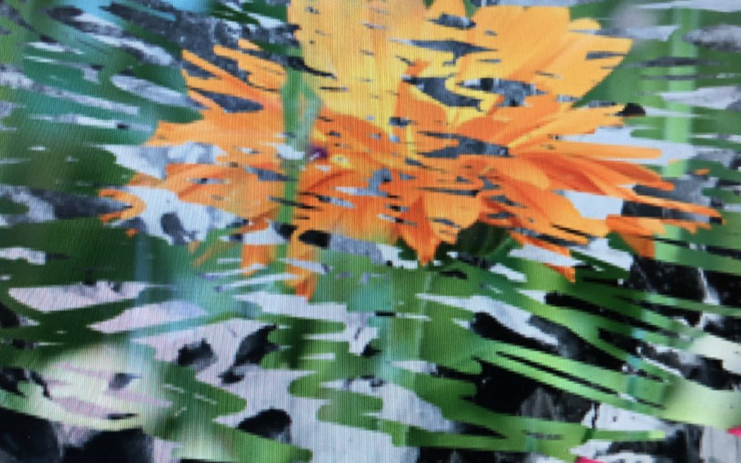 Sommerblüte