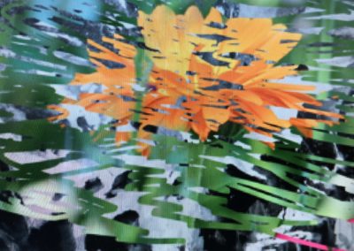 Sommerblüte