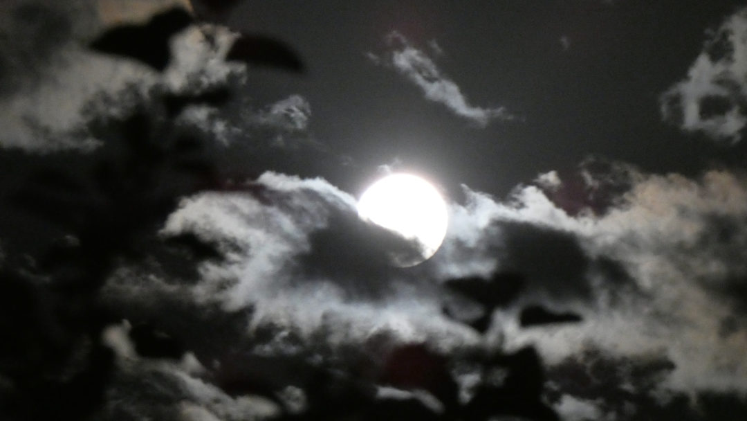 Vollmond 2