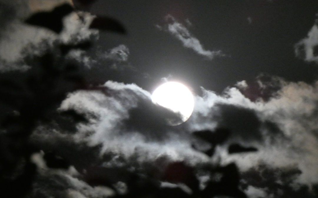 Vollmond 2