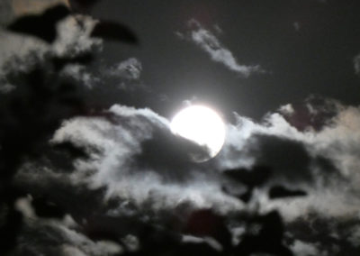 Vollmond 2